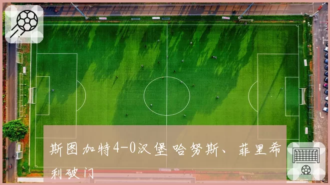 斯图加特4-0汉堡 哈努斯、菲里希利破门