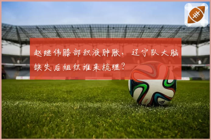 赵继伟膝部积液肿胀,辽宁队大脑缺失后组织谁来梳理?