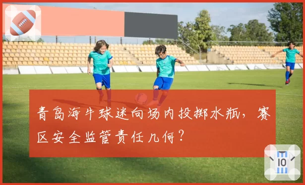 青岛海牛球迷向场内投掷水瓶，赛区安全监管责任几何？