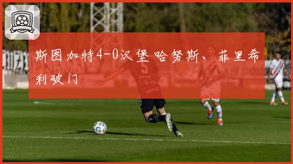 斯图加特4-0汉堡 哈努斯、菲里希利破门